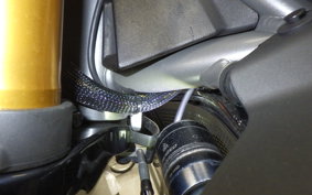 INDIAN FTR1200R carbon 2025