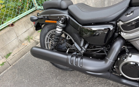 HARLEY RH975S NIGHT STAR 2024 ZF1