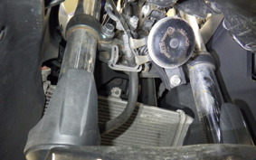 YAMAHA YZF-R25 RG43J