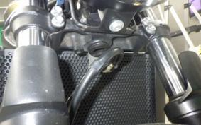 SUZUKI SV650 A 2021 VP55B