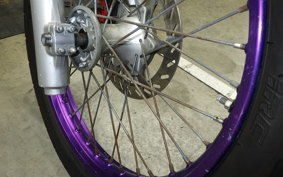 YAMAHA TT250R RAID 4GY