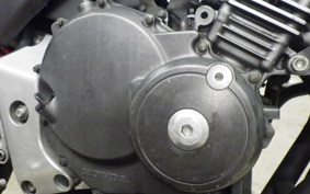 HONDA HORNET 250 MC31