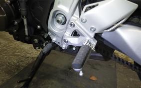 YAMAHA XSR900 GP 2024 RN96J
