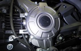 KAWASAKI Z125 PRO 2010 BR125H