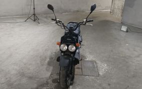 HONDA ZUMAR AF58