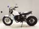 Фото Yamaha TW200 с японского аукциона
