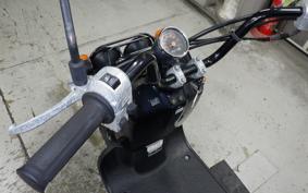 HONDA ZOOMER 2021 AF58