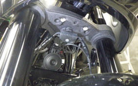 HARLEY FXLRST1920 2024