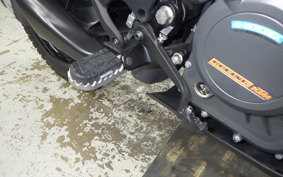 KTM 250 ADVENTURE