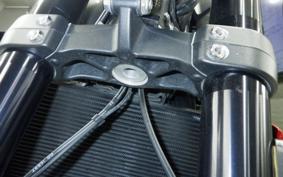 TRIUMPH TRIDENT 660 2022
