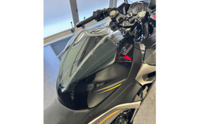 YAMAHA FJR1300 2013 RP23