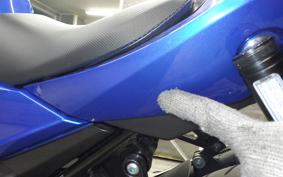 SUZUKI GSX250RA 2019