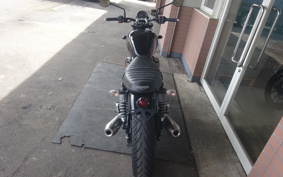 TRIUMPH SPEED TWIN 900 2023 DAD74G