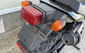 YAMAHA TW225 DG09J
