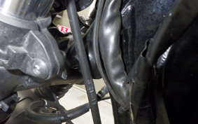 HONDA GB350 2024 NC59
