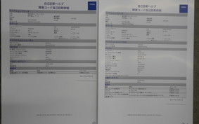 YAMAHA MT-09 A 2016 RN34J