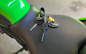 KAWASAKI Ninja 250SL BX250A