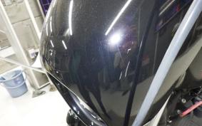 HARLEY XL1200NS 2020