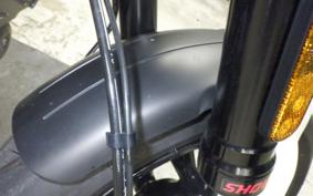 TRIUMPH TRIDENT 660 2022
