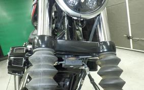 HARLEY XL1200NS 2020