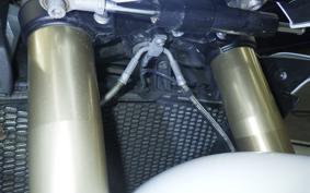 BMW S1000R M PACKAGE 2021