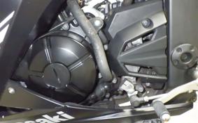 KAWASAKI NINJA 250 2010 EX250L