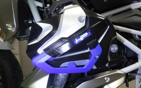 BMW R1250R 2019