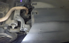 HONDA TACT Basket 2025 AF75