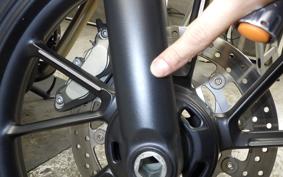 TRIUMPH SPEED TWIN 900 2024
