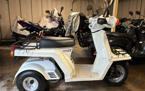 HONDA GYRO TD01