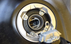 KAWASAKI ELIMINATOR400-3 2024 EL400A