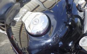 YAMAHA VIRAGO 250 TRIKE 3DM