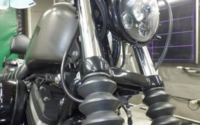 HARLEY XL883N 2018