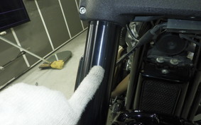 HARLEY FXFBS1870 2024