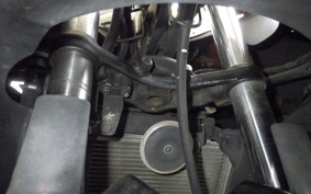 KAWASAKI NINJA 250R EX250K