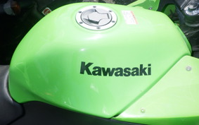 KAWASAKI NINJA 250R EX250K