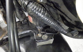 HONDA APE 50 2026 AC16