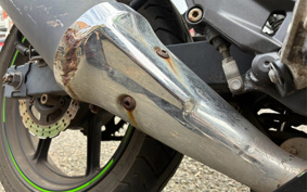 KAWASAKI NINJA 250R EX250K