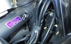 YAMAHA YZF-R25 RG43J