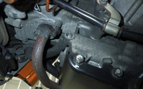 HONDA ZOOMER 2007 AF58