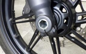 TRIUMPH SPEED TWIN 900 2025