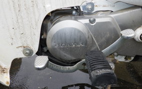 HONDA LITTLE CUB AA01