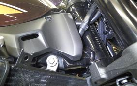 KAWASAKI Z900RS 2025 ZR900K