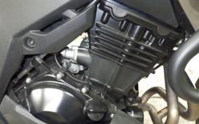 KAWASAKI VERSYS 250 A LE250D
