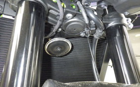 KAWASAKI Z900 2021 ZR900B