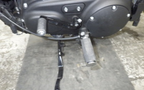 HARLEY XL1200NS 2018