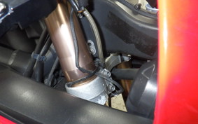 TRIUMPH DAYTONA 675 2009