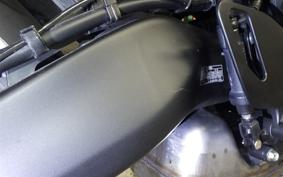 YAMAHA XSR900 2024 RN80J