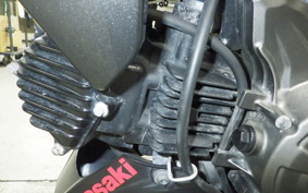 KAWASAKI Z125 PRO 2006 BR125H
