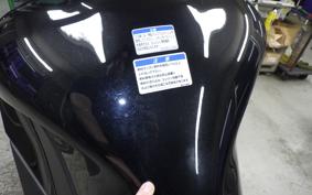 KAWASAKI NINJA 1000SX 2024 ZXT02K